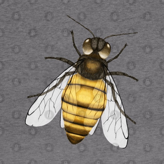 Bee pencil drawing color version by Bwiselizzy